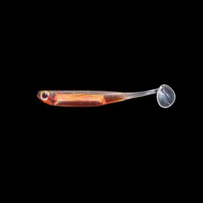 JENZI Gummifisch Drop-Shot Shad`y 10 cm Farbe F