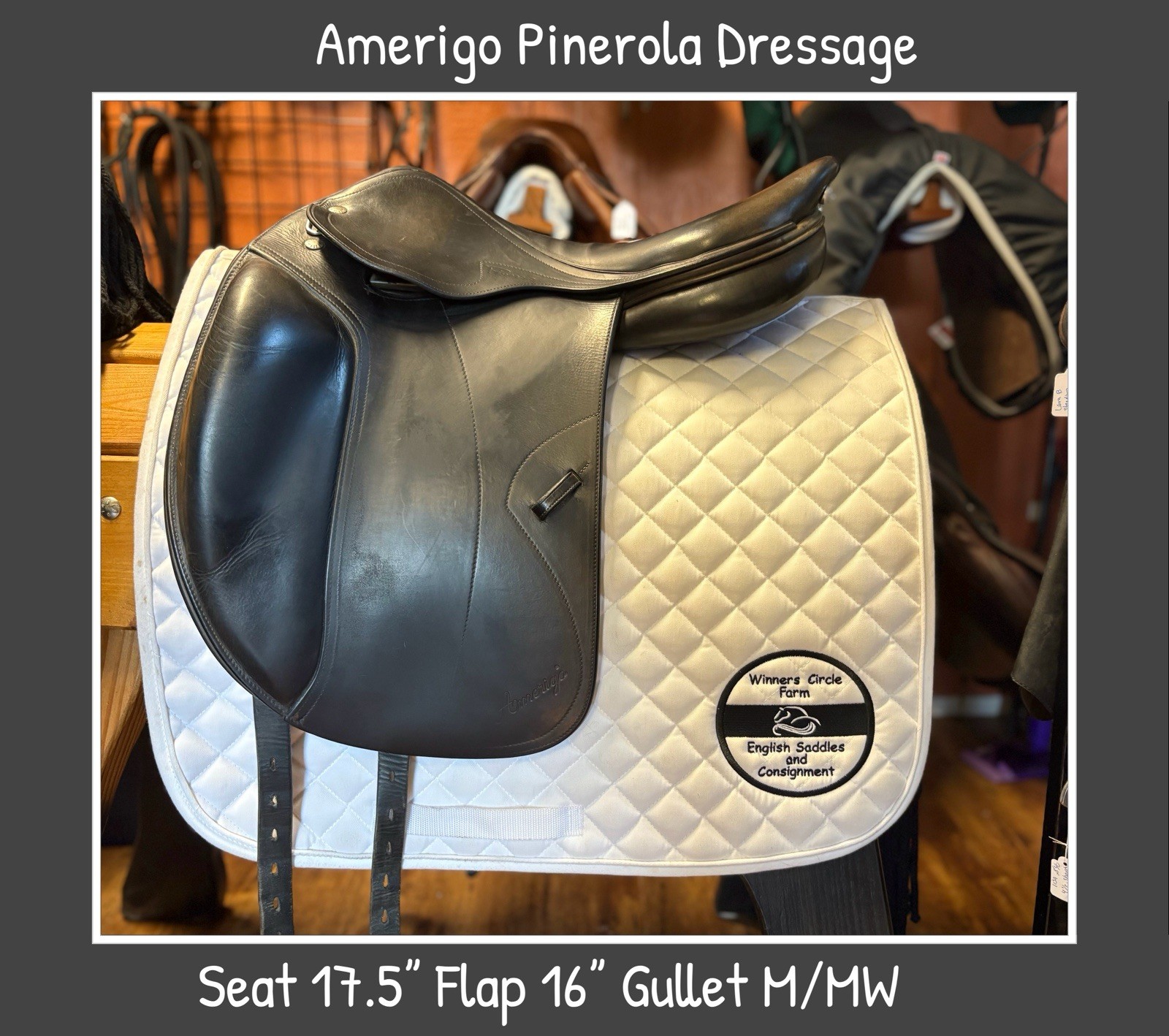 Amerigo Pinerola Dressage Saddle. 17.5” MW