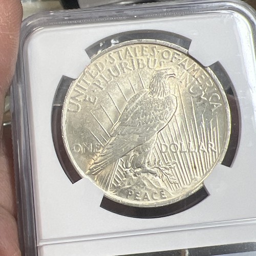 Dólar de la Paz 1922 MGC MS 63 - Moneda graduada - Envío gratuito - Imagen 5 de 5