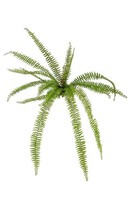 Artplants KüNstlicher Schwertfarn Nakriz Auf Steckstab, GrüN, 105Cm