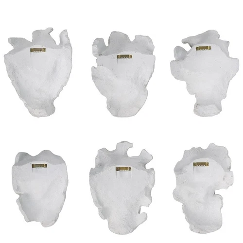 Uttermost Self-Portrait 6-Piece Contemporary Polyresin Mask Wall Decor in White - Picture 4 of 6