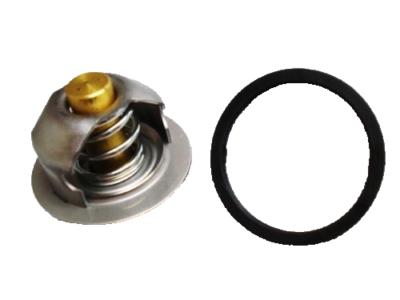50005513 KOLBENSCHMIDT Wasserpumpe mit Dichtung, mechanisch, Metall