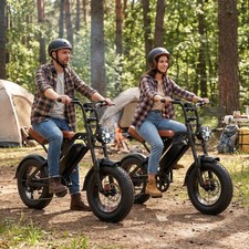 Electric Bike Fat Tire E-bike Peak 1500W Peak Off-road 48V E-Mountain Bike 28MPH