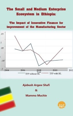 Mammo Muchie Ajebush A The Small and Medium Enterprise Ecosystem i (Taschenbuch)