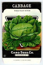 Early Dutch Cabbage 1920's Card Seed Co Packet EMPTY Vintage Fredonia New York