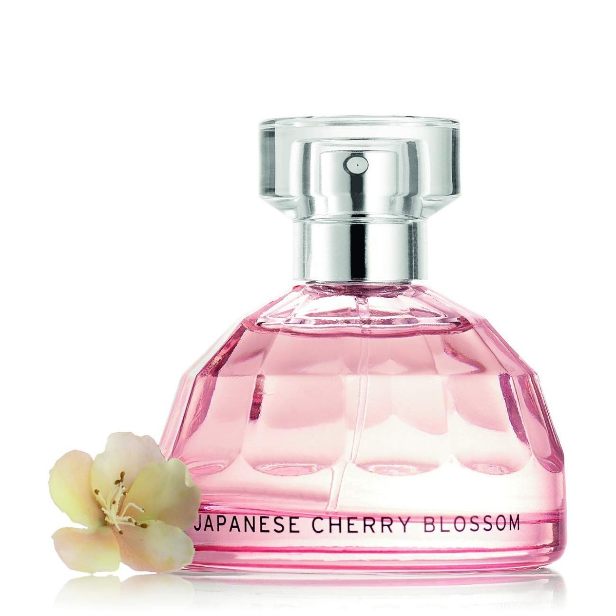 香水(女性用) THEBODY SHOP JAPANESE CHERRY BLOSSOM The Body Shop Japanese Cherry Blossom Eau De Toilette; 50ml | eBay