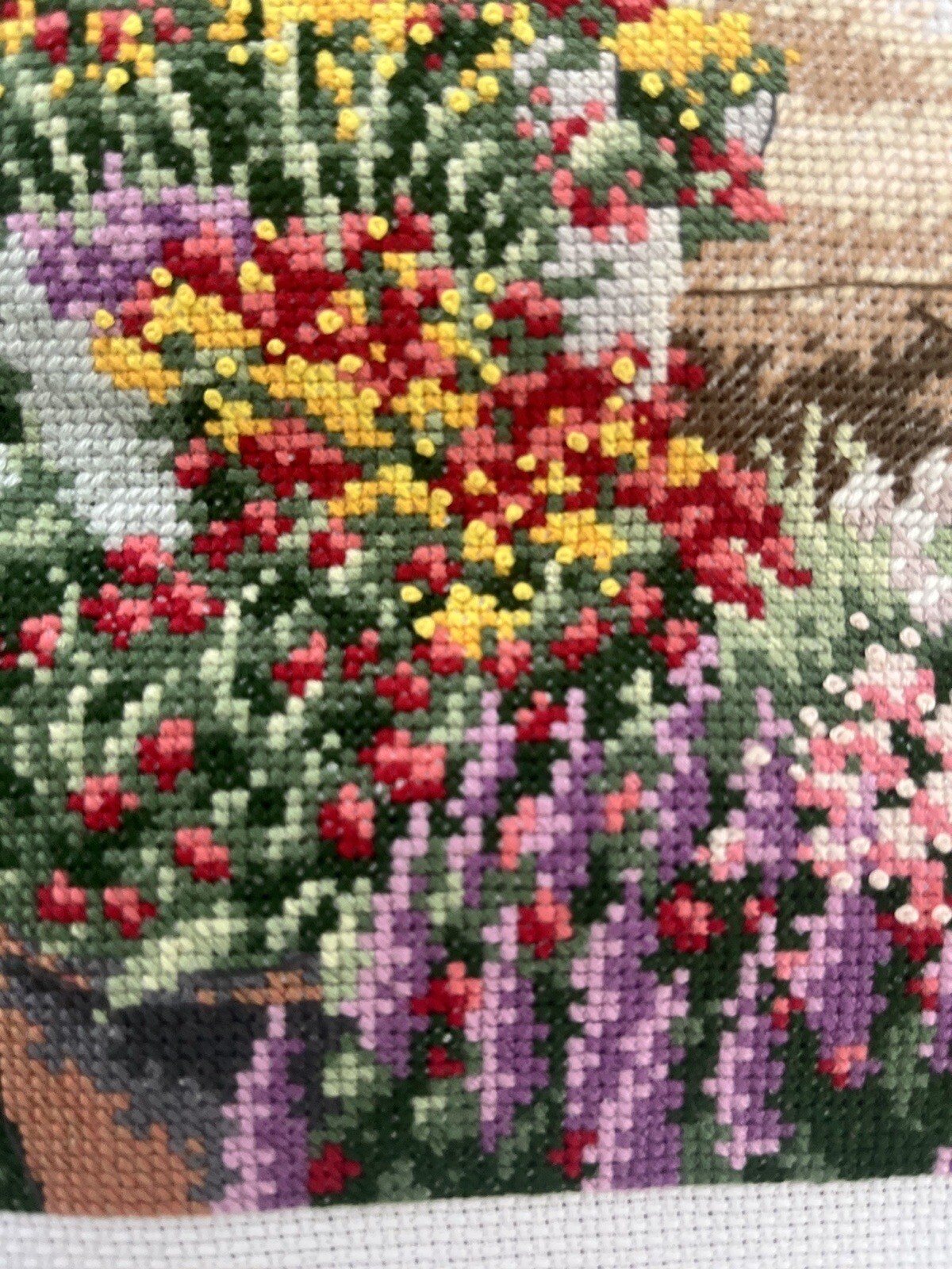Bild 9 von 22