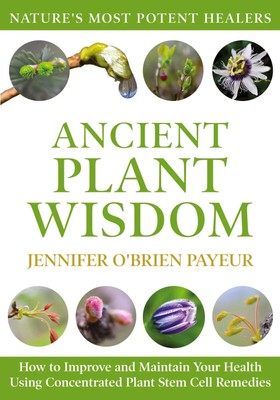 Ancient Plant Wisdom | Jennifer O'Brien Payeur | Taschenbuch | Englisch | 2025
