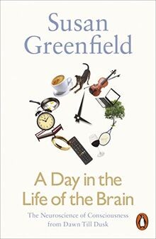 A Day in the Life of the Brain: The Neuroscience of Cons... | Buch | Zustand gut