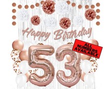 Rose Gold 53rd Birthday Decorations for Girls - 40" Number Balloons  More
