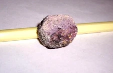 25.5 Gr. Natural Hexagonal Ruby Crystal with Triangle Record Keepers! #608