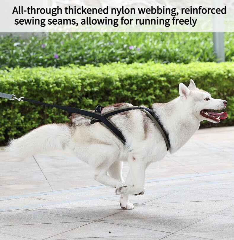 Harnais De Traction Pour Chien ETIAL Dog Weight Pulling Harness
