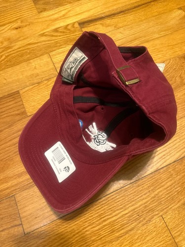New South Carolina Gamecocks NCAA CWS 47 Twins Hat 2010 National Champs Baseball - 第 5/5 張圖片