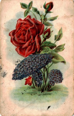 OOD, SPRINGS, KY, Danson søge, Miss Disie Price, Aulas, Postcard