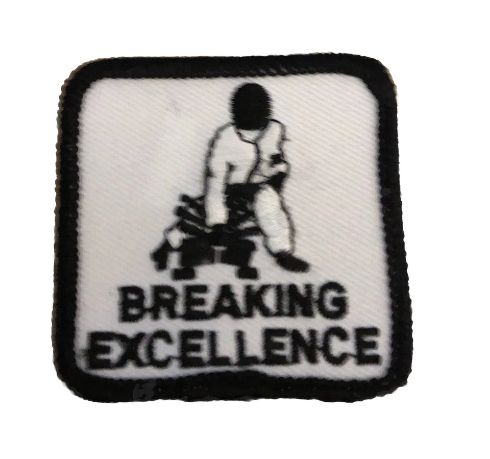 JUEGO DE 5 PARCHES ARTES MARCIALES FORMAS DE EXCELENCIA PARCHE UNIFORME Foto 4 de 4