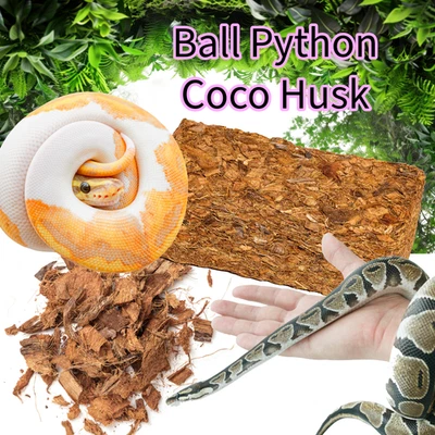 BUGZNBITS Coco Husk Organic Block for Ball Pythons & Tropical Reptiles/ Natural Substrate