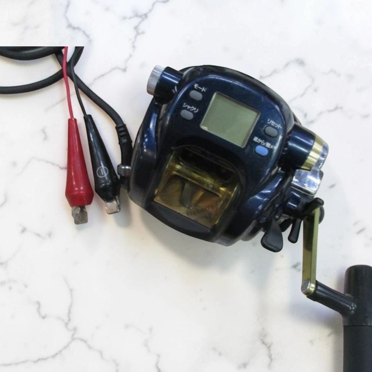 Daiwa All Species Saltwater 2.3: 1 Gear Ratio Fishing Reels for