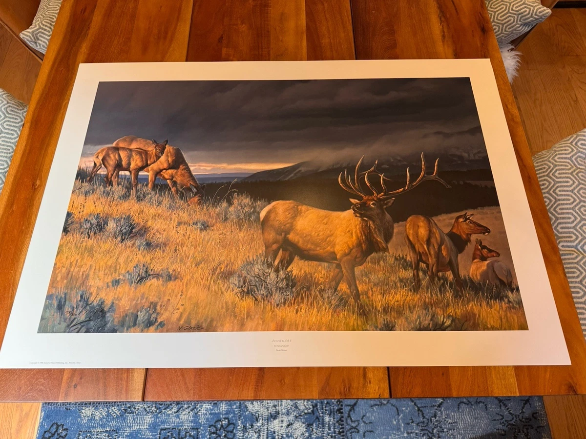 Nancy Glazier Restless Buffalo Framed Art Print – Western Wildlife