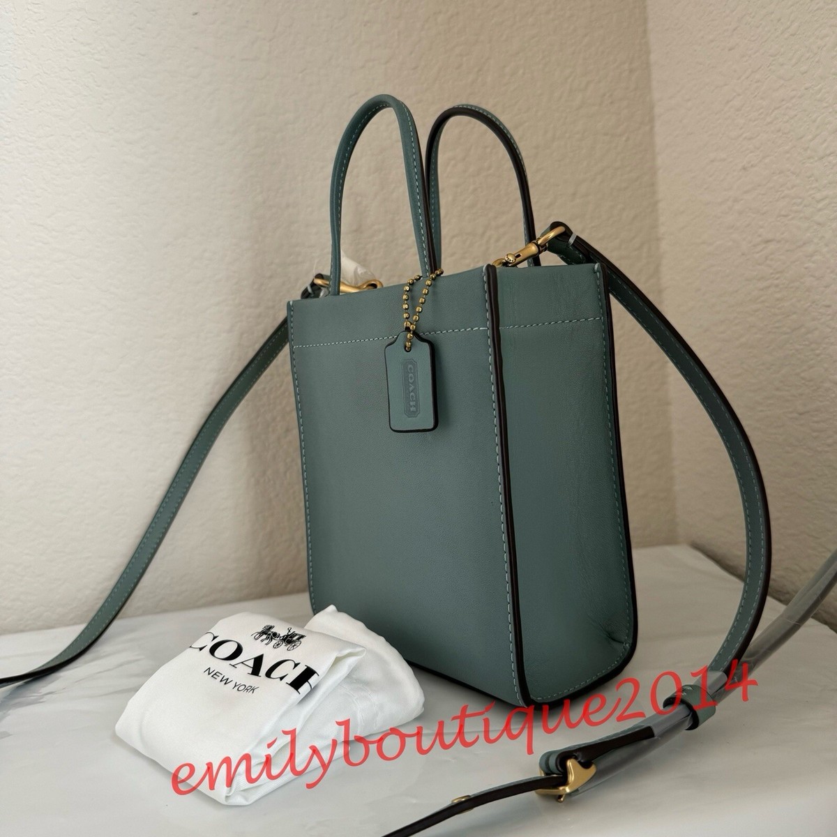NWT Coach C4828 Mini Cashin Tote In Glovetanned Leather Crossbody