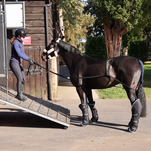 Shires ARMA Loading Aid - Picture 3 of 4