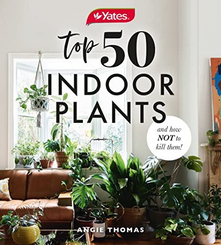 Yates Top 50 Indoor Plants And How Not To Kill Them! - Image 7