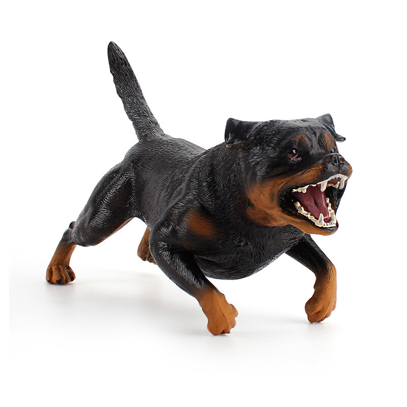 Rottweiler Dog Attack Images