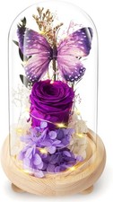 Forever Flowers Preserved Roses Prime Delivery, with Light in Glass Dome for Mom