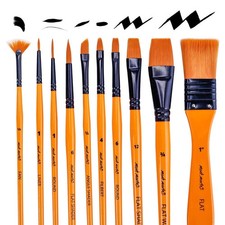 Art Paint Brushes Set for Painting 10 Variety of Brushes Types for Class Kids...