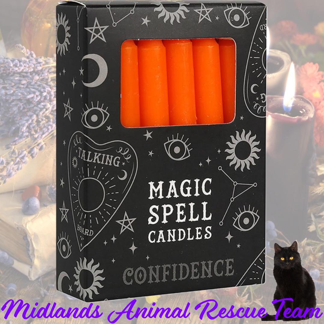Red Spell Candles Pack of 12 - Love - Sale For Our Animal Charity 500917