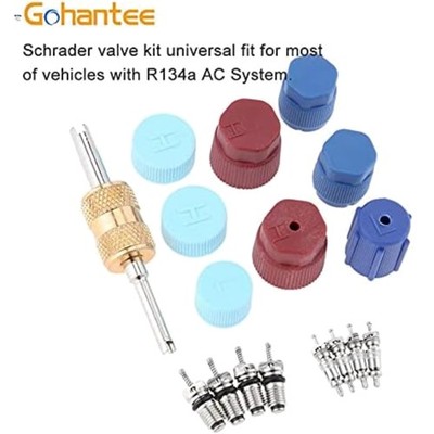 17Pcs Air Conditioning Valve Core Kit Schrader Valve Cores Accessories A/C R1...