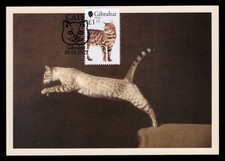 GIBRALTAR 2025 Maximum Card - Cat chat ga…