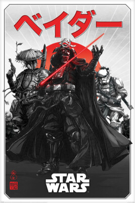 Poster STAR WARS - Da-ku Saido - Visions 61x91,5cm 59635