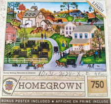 Sunday Meeting 750 Piece Jigsaw Puzzle by MasterPieces