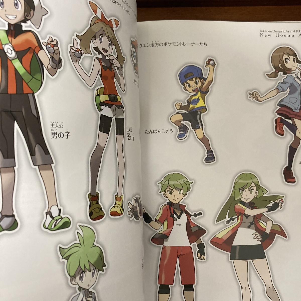 ポケットモンスター New Hoenn ART Book Pokemon Center Limited Art book of New Hoenn Art Book Omega Ruby