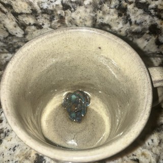 SEAGROVE ART POTTERY COFFEE MUG Frog Inside