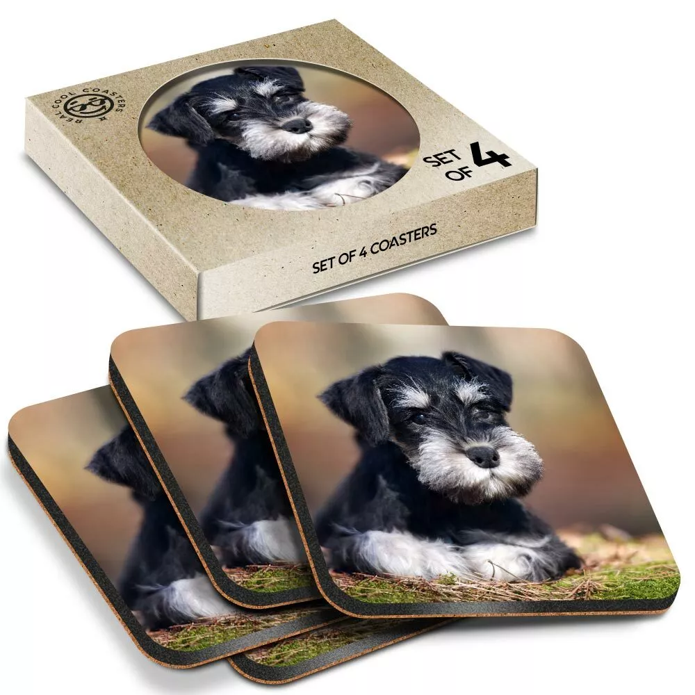4 x Boxed Square Coasters Miniature Schnauzer Dog Puppy 15550