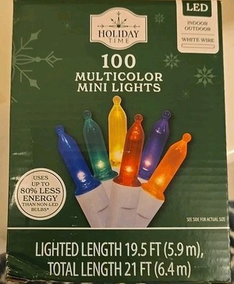 NEW! Holiday Time 100 (6 Colors) MULTICOLOR Mini LED Christmas Lights WHITE Wire