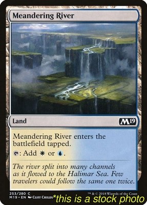 Meandering River Core Set 2019[M19 - 253] Common Lightly Played