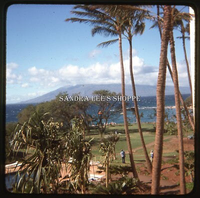 1976 Sq Slide Mana Kai Resort Pool Grounds Maui Hawaii #4333