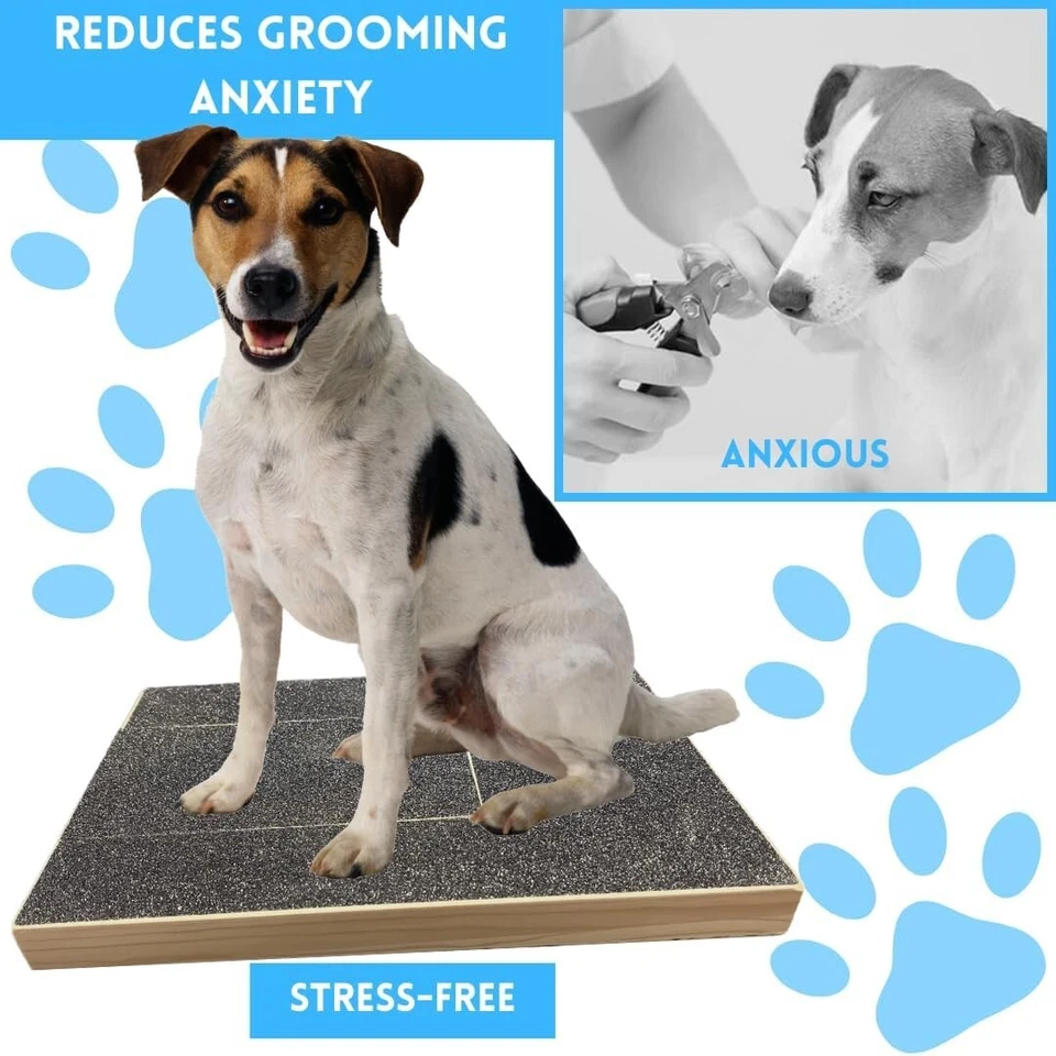 Paquete de almohadillas rascadoras de lujo para perros con compartimento para bocadillos Foto 2 de 4