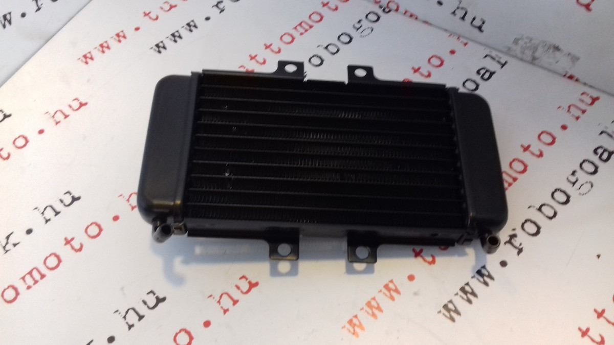 575219 New Genuine Water cooler Piaggio NRG, NRG Power, NTT | eBay