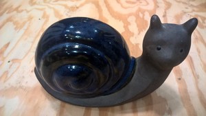 Where to find snails in your backyard