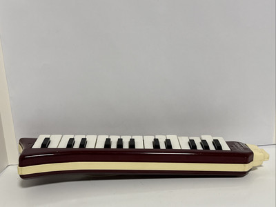 Vintage Hohner Melodica Piano 27 Made in Germany with Case/For