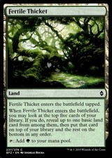 2015 Battle for Zendikar Fertile Thicket Expansion/Common #237
