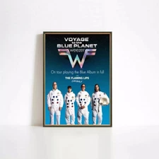 Weezer band 2024 Tour poster