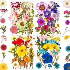 85 Pcs Dried Pressed Flowers for Resin Molds, Real Natural Flowers Leaves for...