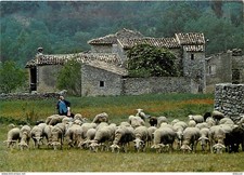 Postcard - Animals - Sheep - The departure of the sheepfold - Shepherdess and her tr