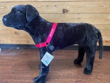 Dog Harness Training/Walking Medium/Large 1" Red SENSE-ation  No-Pull