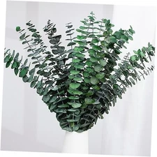 16 Pcs Dried Eucalyptus Stems, 17'' Natural Fresh Eucalyptus Leaves Green