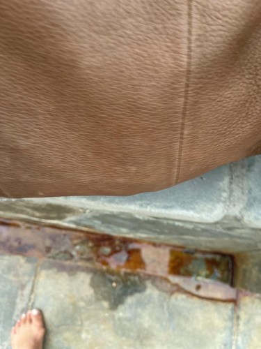 PRADA Cervo Deerskin Large Frame Satchel (pu1300 - Picture 9 of 12
